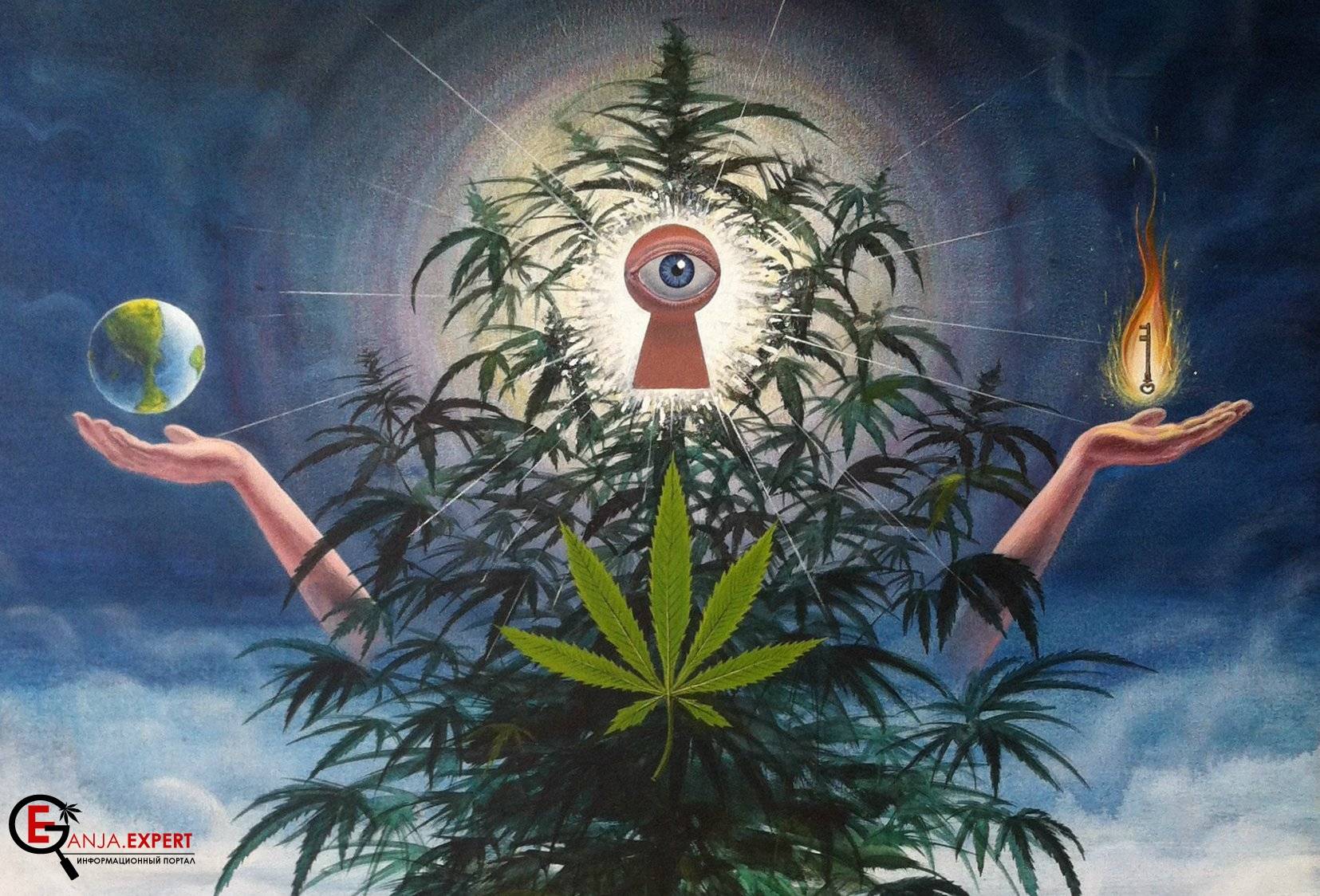 любовь к марихуане