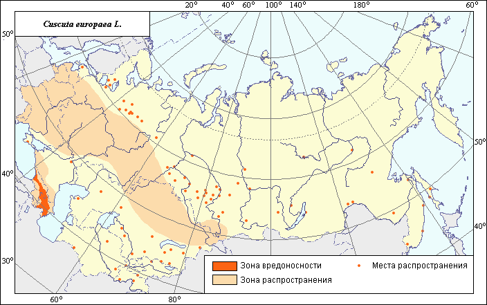 Хозяйственное значение