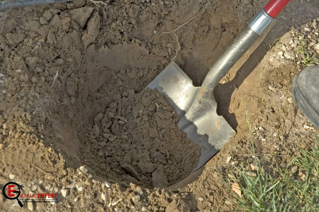 Чем заполнить яму для посадки конопли