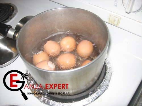 Во избежание протухлости яйца и заболевания ростков, возьмите яйцо и положите на 2-3 мин в кипящую воду