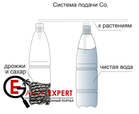 Баллон CO₂ на дрожжах своими руками для выращивания марихуаны