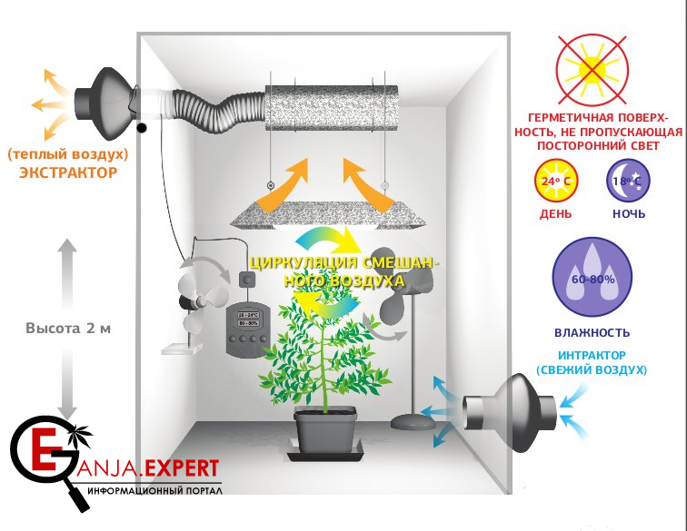 Вентиляционная система для конопли