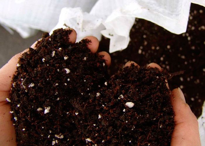 Удобрения своими руками для марихуаны законно выращиванию конопли
