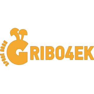 Gribo4ek