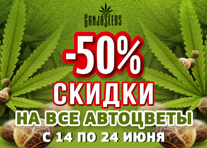 Автофеминизированные семена конопли и споровые отпечатки с 50% скидкой