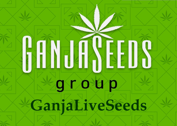 GanjaLiveSeeds