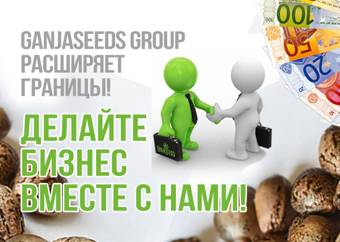 Партнерство с GanjaSeedsGroup