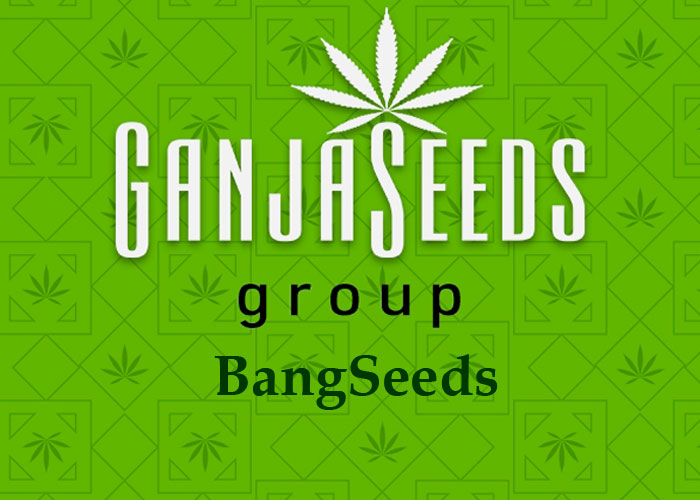 BangSeeds