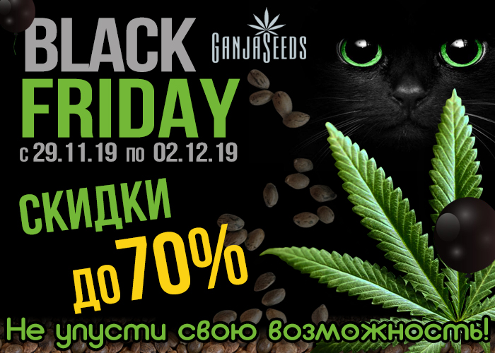 Black Friday на GanjaSeeds