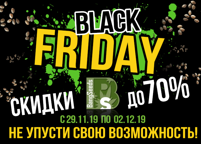 Black Friday на  BangSeeds