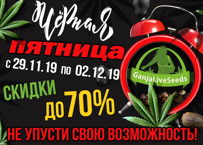 GanjaLiveSeeds приглашает на Black Friday!