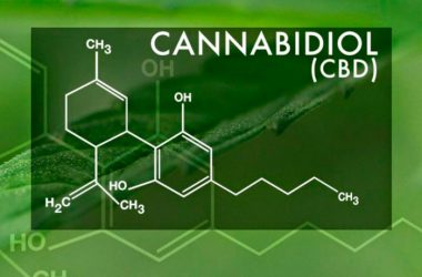 Каннабидиол (КБД): использование, эффекты и безопасность