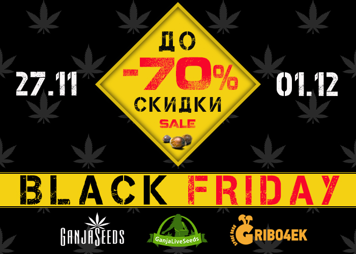 скидки в интернет-магазине GanjaLiveSeeds