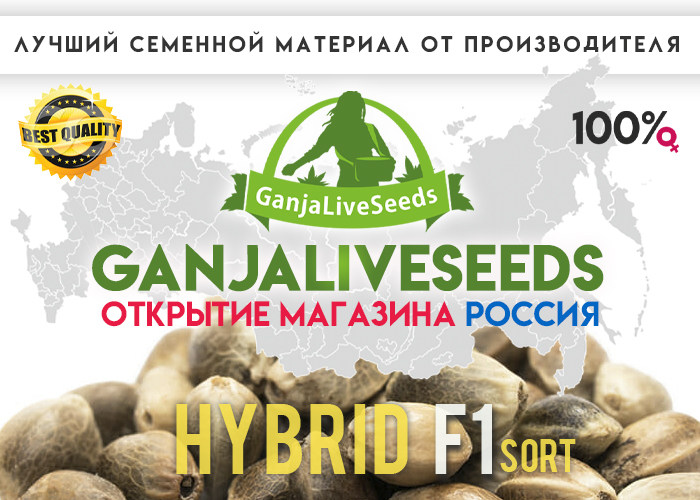 Склад GanjaLiveSeeds теперь и в России!