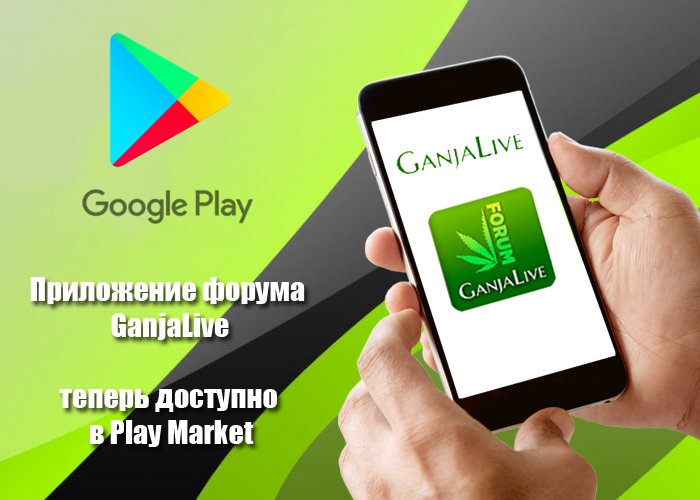 Приложение GanjaLive форума теперь в Google Play Маркете!