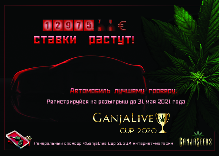 GanjaLive Cup 2020