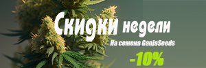 СКИДКИ НЕДЕЛИ 12-18.08.24